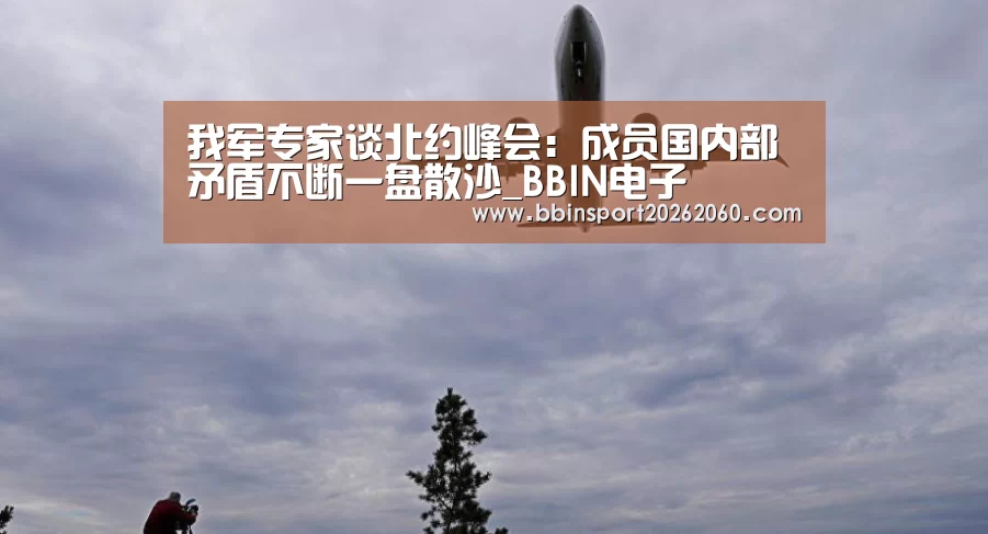 我军专家谈北约峰会:成员国内部矛盾不断一盘散沙_BBIN电子(图1) BBIN下载