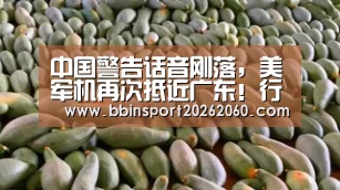 中国警告话音刚落,美军机再次抵近广东!行动异常,吴谦有言在先_BBIN电子(图1) BBIN体育